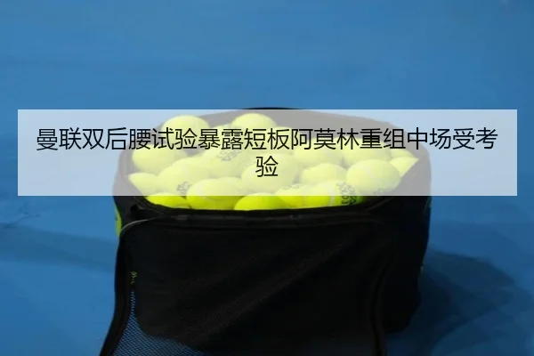 曼联双后腰试验暴露短板阿莫林重组中场受考验